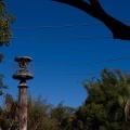 WDW201001-223