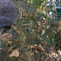 WDW201001-224