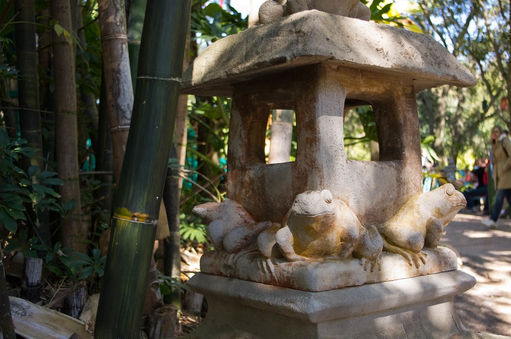 WDW201001-234.jpg