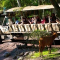 WDW201001-243