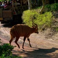 WDW201001-244