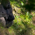 WDW201001-255
