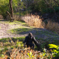 WDW201001-257.jpg