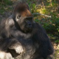WDW201001-258