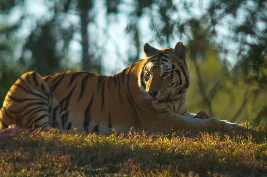 WDW201001-271.jpg