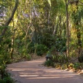WDW201001-282