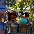 WDW201001-291