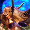 WDW201001-308
