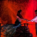 WDW201001-347