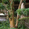 WDW201001-404