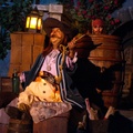 WDW201001-431