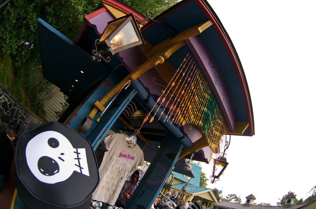 WDW201001-516.jpg