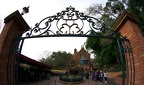 WDW201001-519