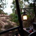 WDW201001-526