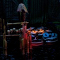 WDW201001-529