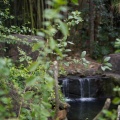WDW201001-548