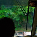 WDW201001-551