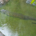 WDW201001-558