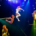 WDW201001-589
