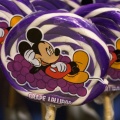 WDW201001-610