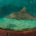 201611 Florida-036