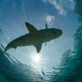 201611 Florida-038