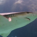 201611 Florida-039