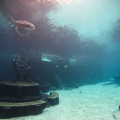 201611 Florida-042