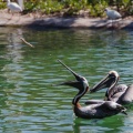 201611 Florida-138