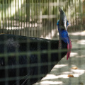 201611 Florida-143