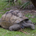 201611 Florida-170