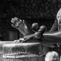 Florida201602-045