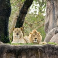 WDW2013-167.jpg