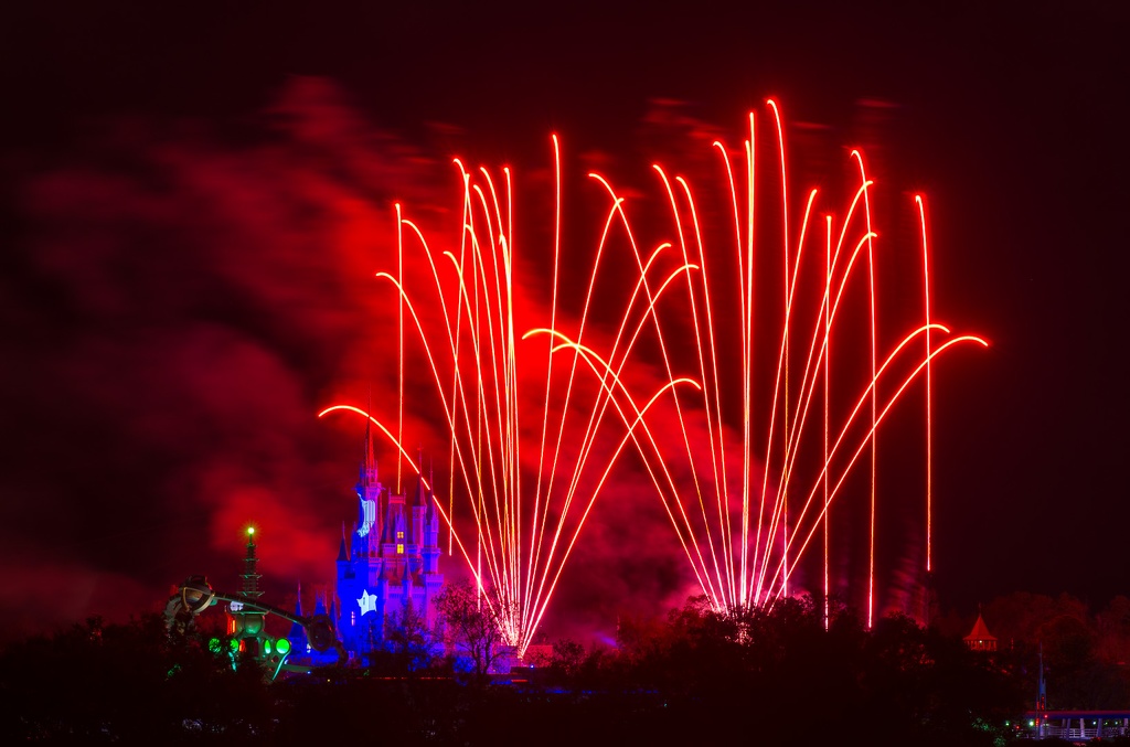 WDW2013-029.jpg