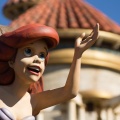 WDW2013-033