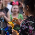 WDW2013-078