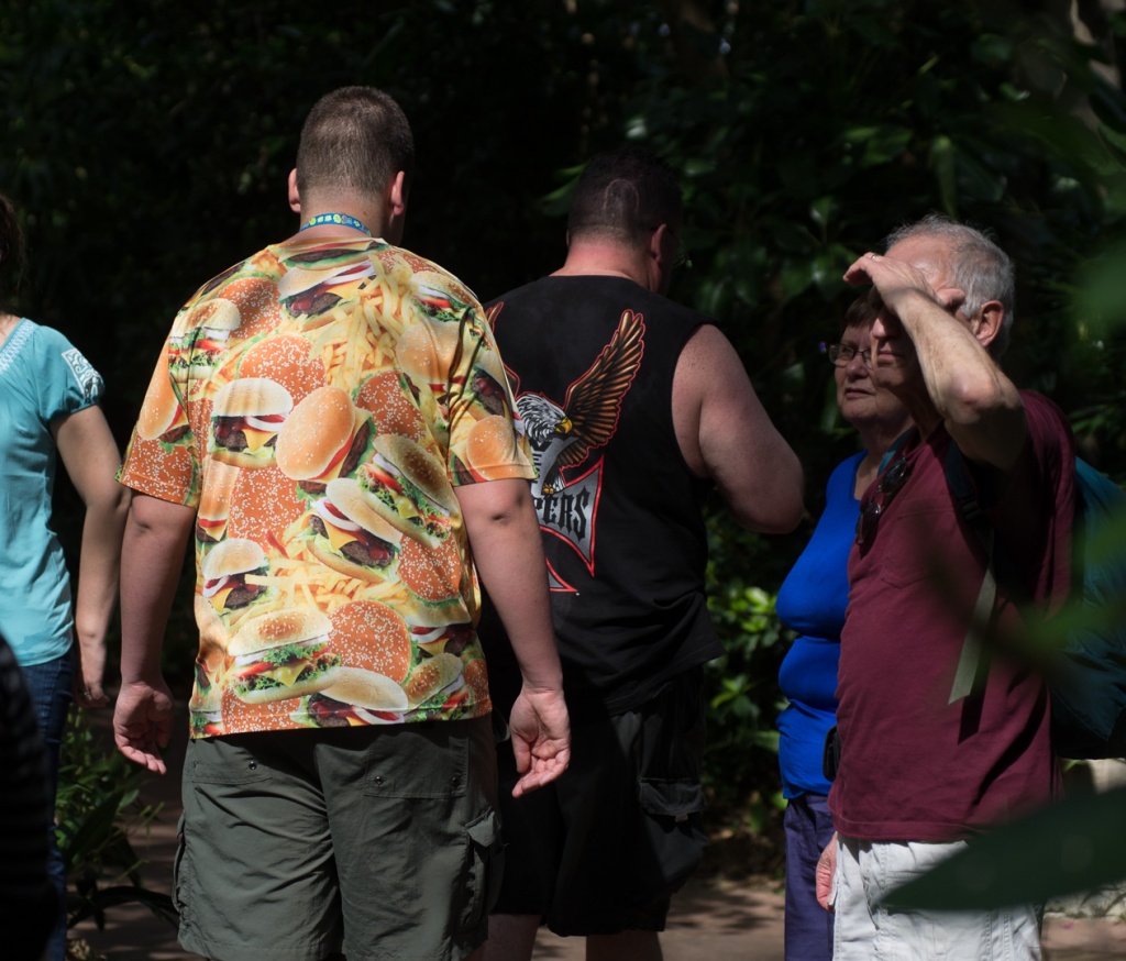 WDW2013-094.jpg