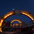 WDW2013-102