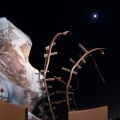 WDW2013-104.jpg