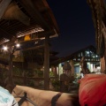 WDW2013-107