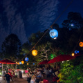 WDW2013-152