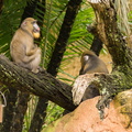 WDW201508-410