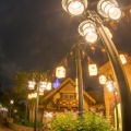 WDW201508-482
