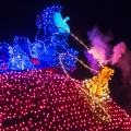 WDW201508-491
