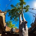 WDW201803-006