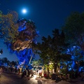WDW201803-084