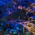 WDW201803-085