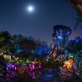 WDW201803-087