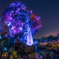 WDW201803-088