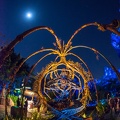 WDW201803-089